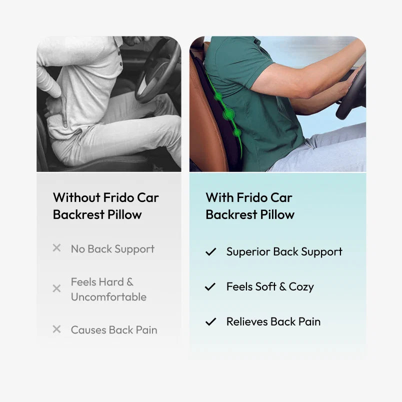 Frido Dual Car Comfort Combo