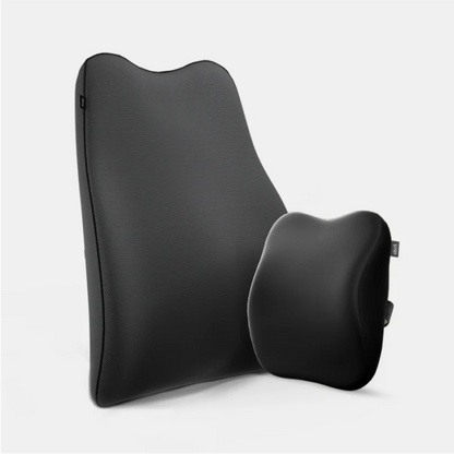 Frido Dual Car Comfort Combo