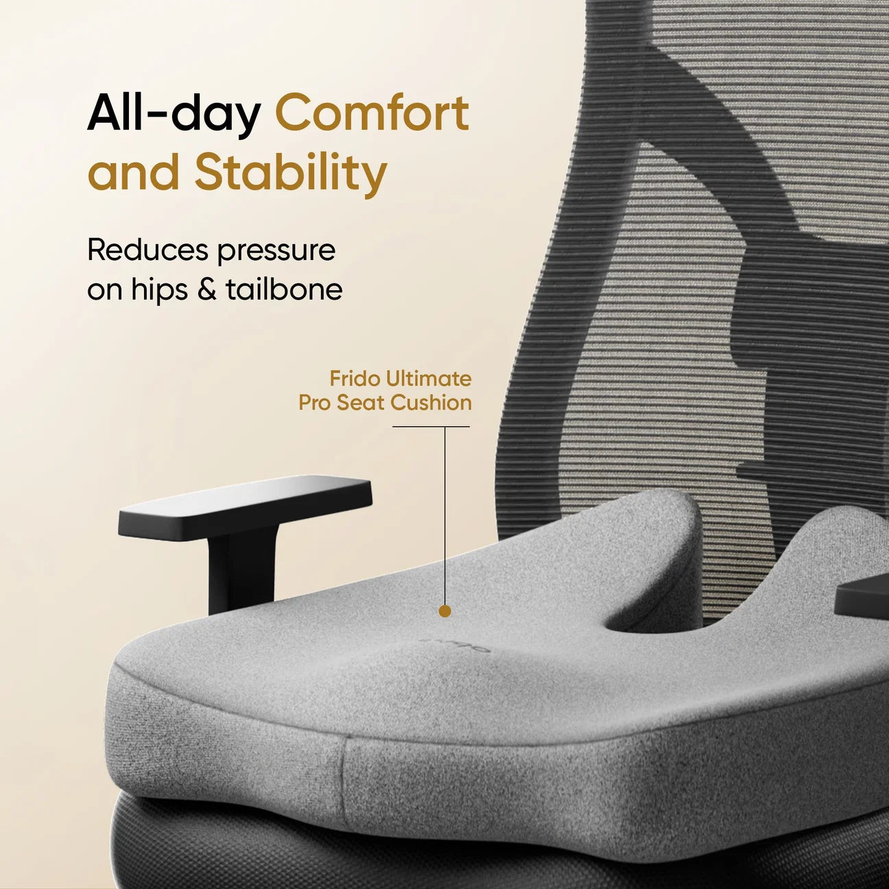 Frido Ultimate Pro Seating Combo