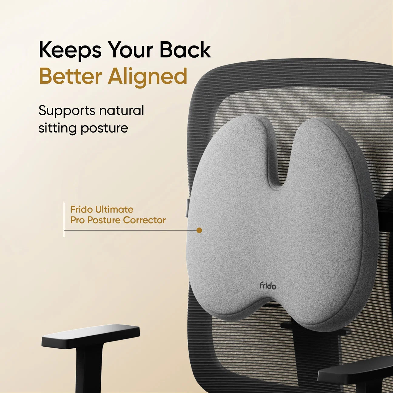 Frido Ultimate Pro Seating Combo